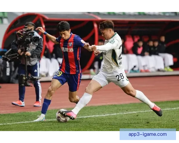 青岛浙江足球直播回放精彩瞬间与赛场战术深度解析全记录